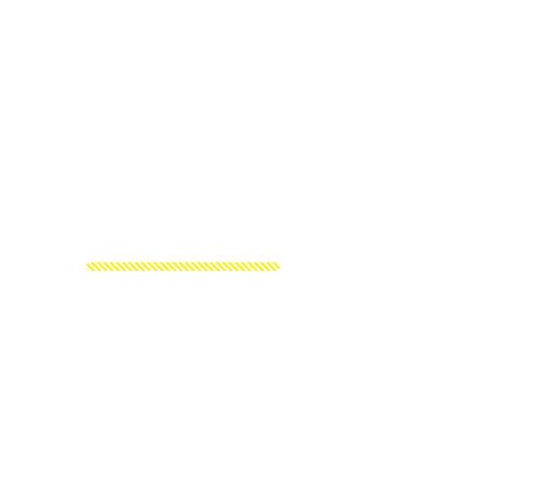 年95日